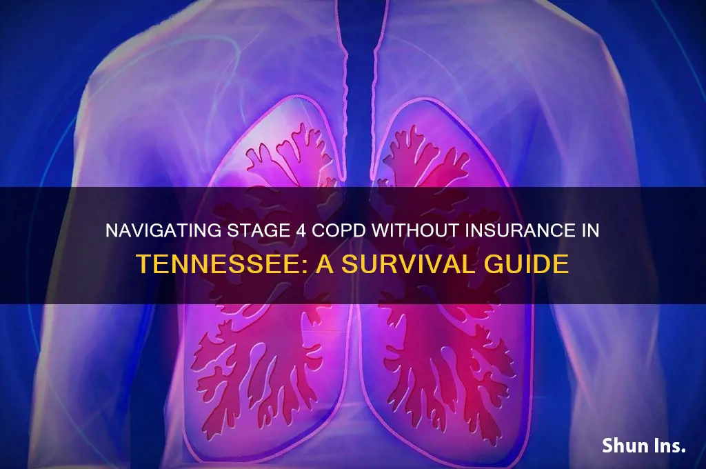 have stage 4 copd and no insurance in tn