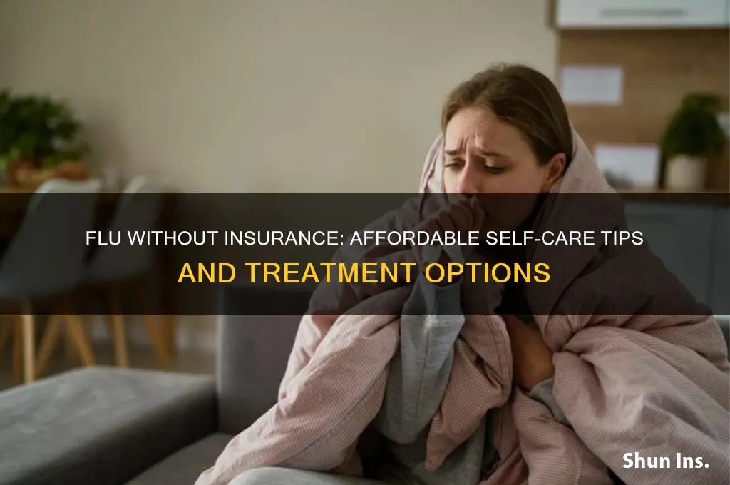 have the flu but no insurance