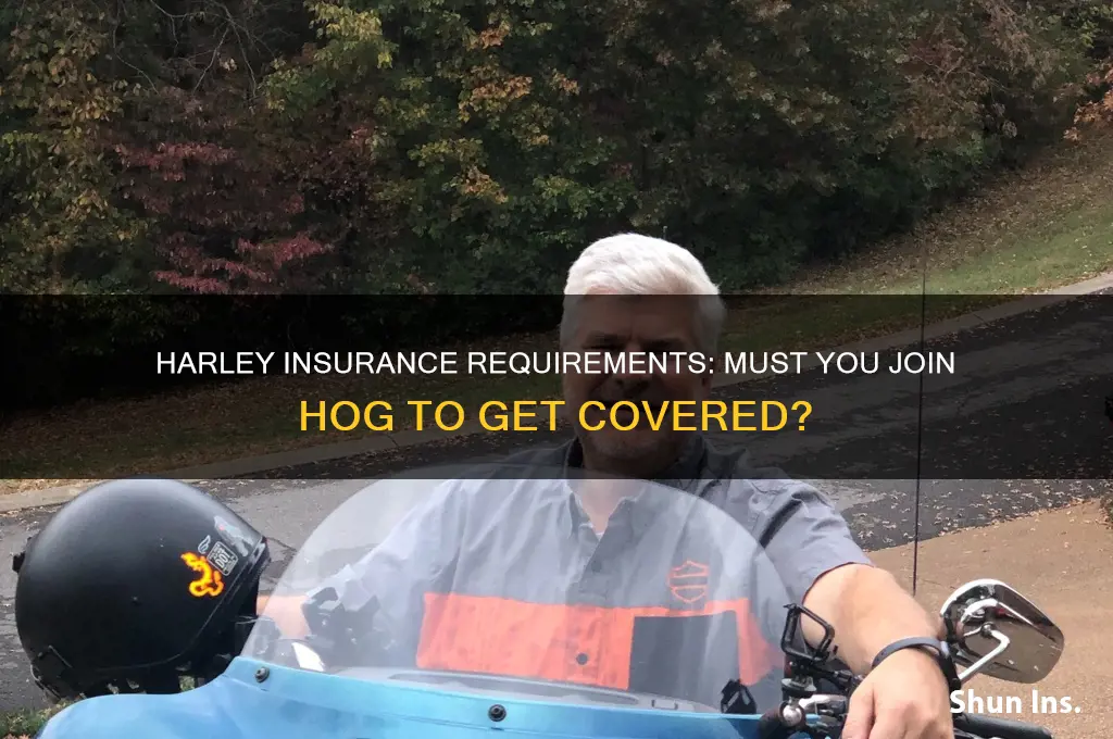 have to be hog member for harley insurance