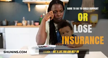 Child Support: Insurance or No Insurance?