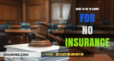Facing Court: Driving Without Insurance