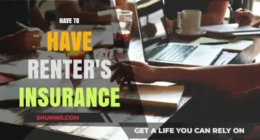 Why Renter's Insurance is a Must-Have for Every Tenant