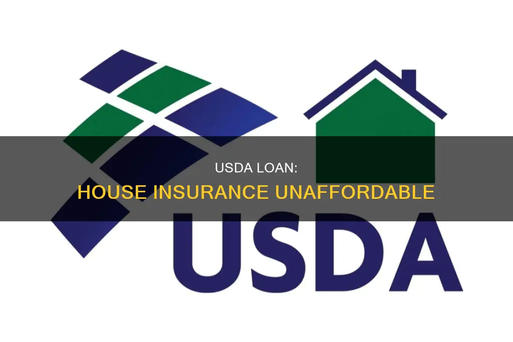 have usda loan but cant afford house insurance anymore