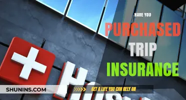 Why Trip Insurance is Essential for Your Next Adventure: Are You Covered?