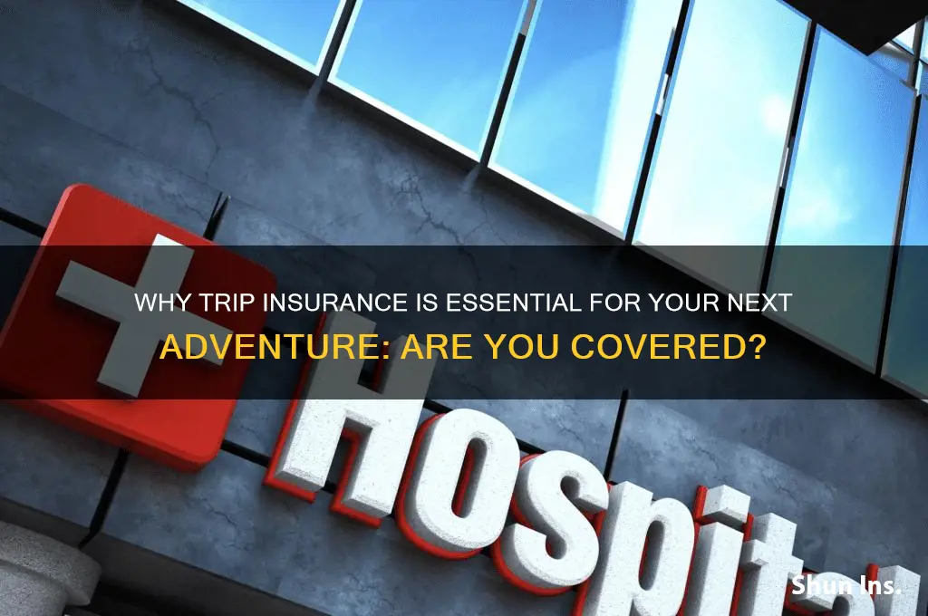 have you purchased trip insurance