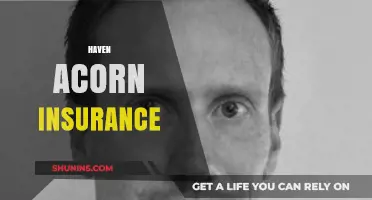 Haven Acorn Insurance: Comprehensive Coverage for Your Peace of Mind