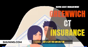 Haven Asset Management Greenwich CT: Insurance Strategies for Financial Security