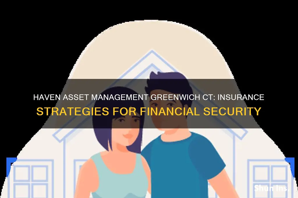 haven asset management greenwich ct insurance