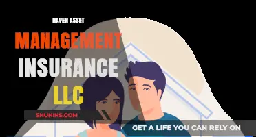Haven Asset Management Insurance LLC: Secure Your Financial Future with Expert Solutions