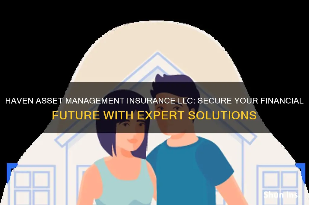 haven asset management insurance llc