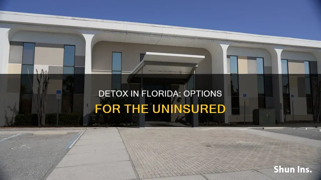 haven detox florida no insurance