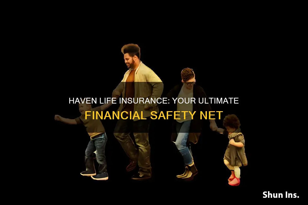 haven finance life insurance