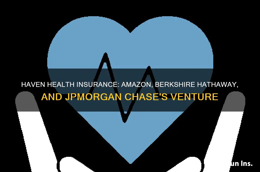 haven health insurance amazon berkshire hathaway and jpmorgan chase
