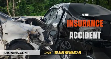 Haven Insurance: Accidents and Claims Support