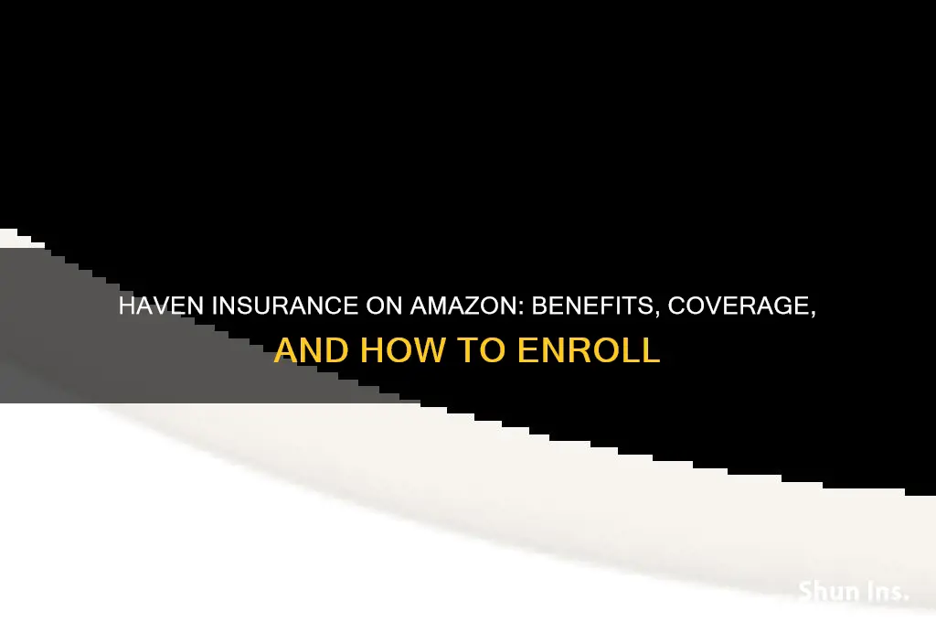 haven insurance amazon