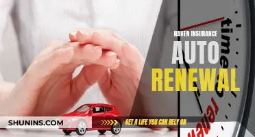 Auto-Renewal: Haven Insurance's Seamless Solution