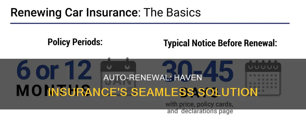 haven insurance auto renewal