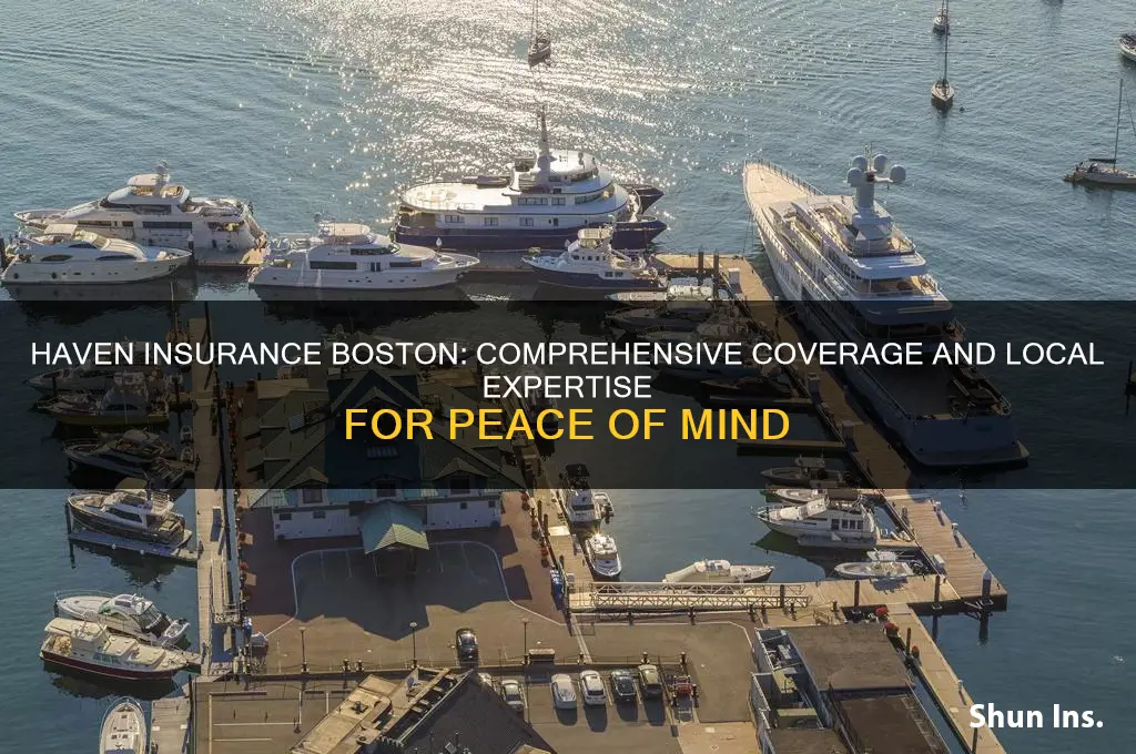 haven insurance boston