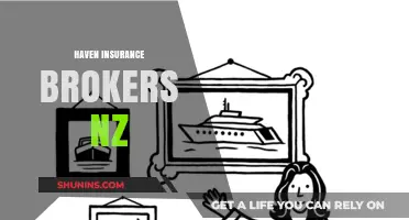 Haven Insurance Brokers NZ: Your Trusted Partner for Comprehensive Coverage