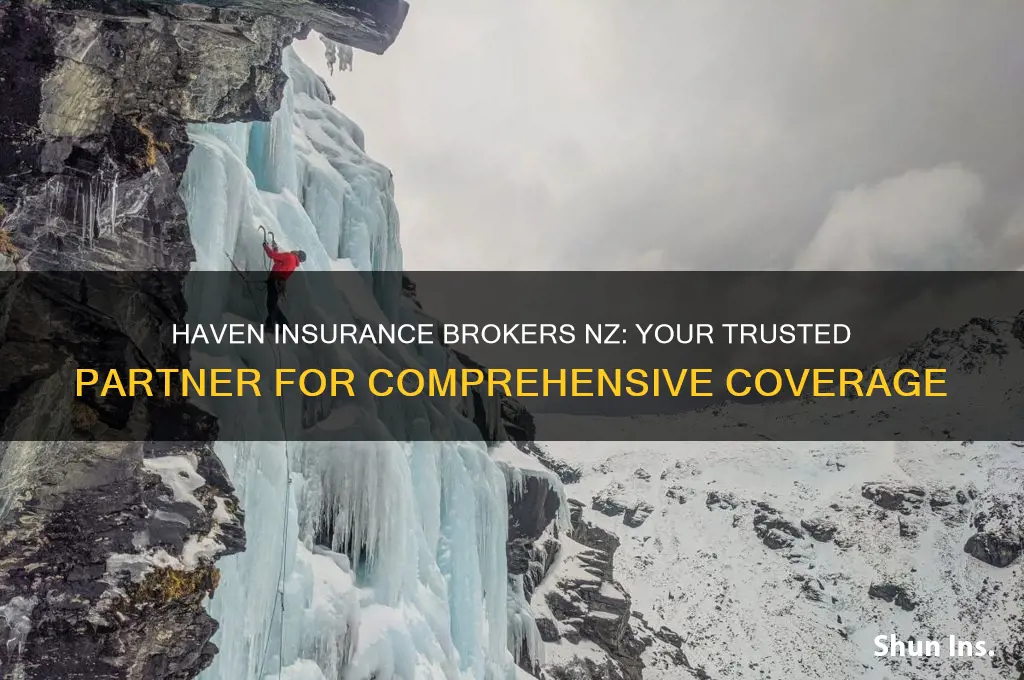 haven insurance brokers nz