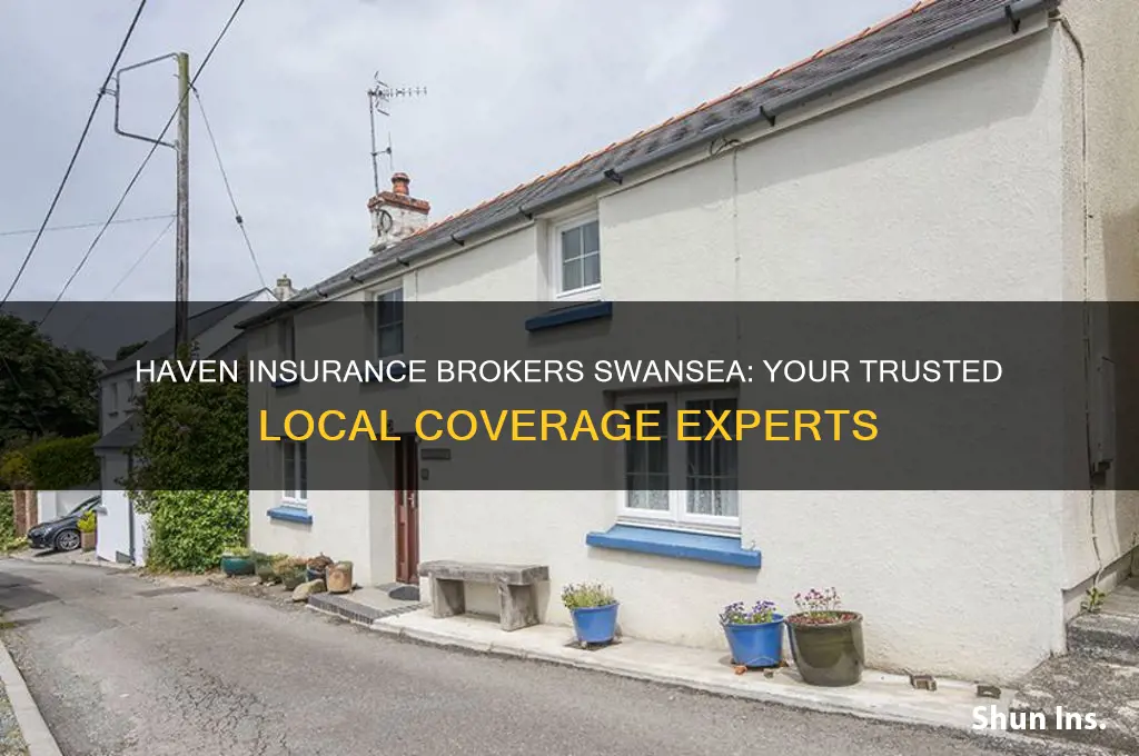 haven insurance brokers swansea