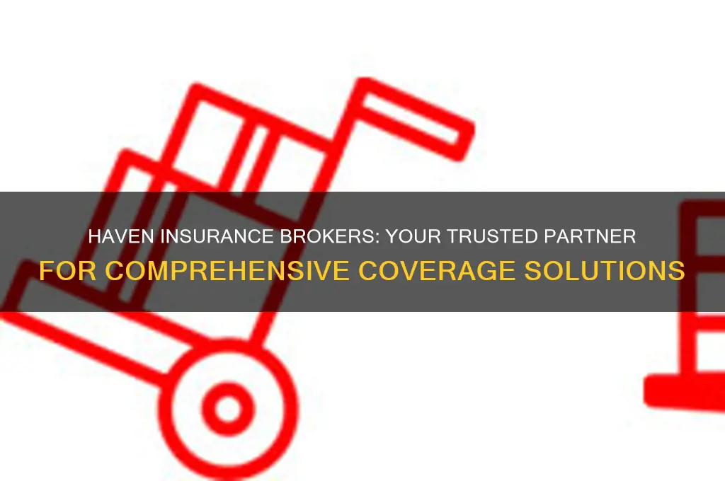 haven insurance brokers