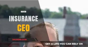 Haven Insurance CEO: Leadership, Vision, and Industry Impact Explored