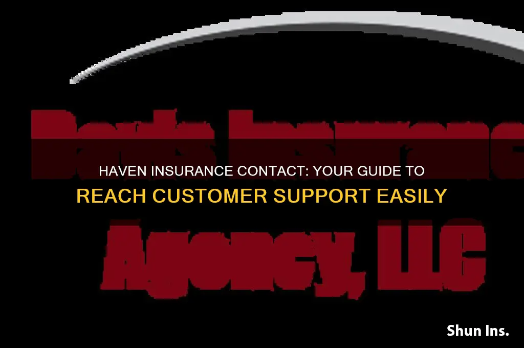 haven insurance contact