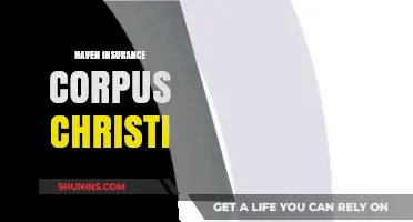 Haven Insurance Corpus Christi: Your Trusted Local Coverage Partner