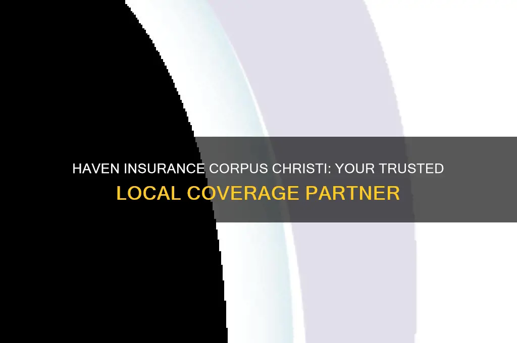 haven insurance corpus christi