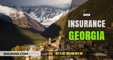 Secure Your Future with Haven Insurance in Georgia Today