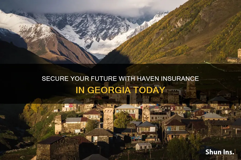 haven insurance georgia