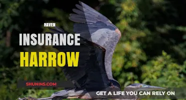 Haven Insurance Harrow: Comprehensive Coverage and Local Expertise for Peace of Mind