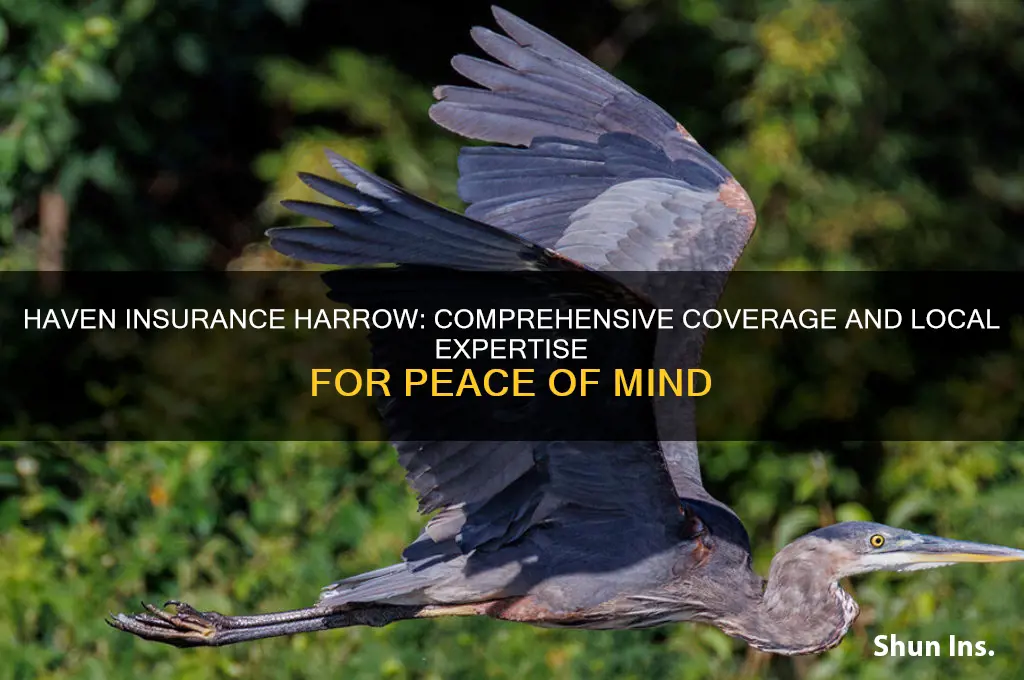 haven insurance harrow