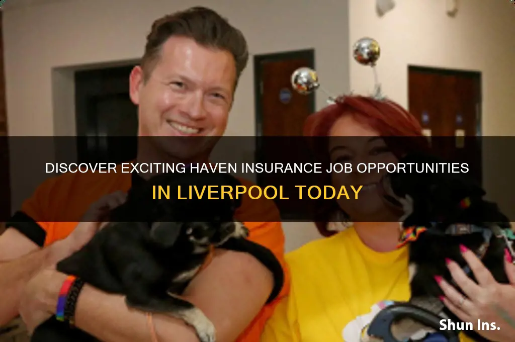 haven insurance jobs liverpool
