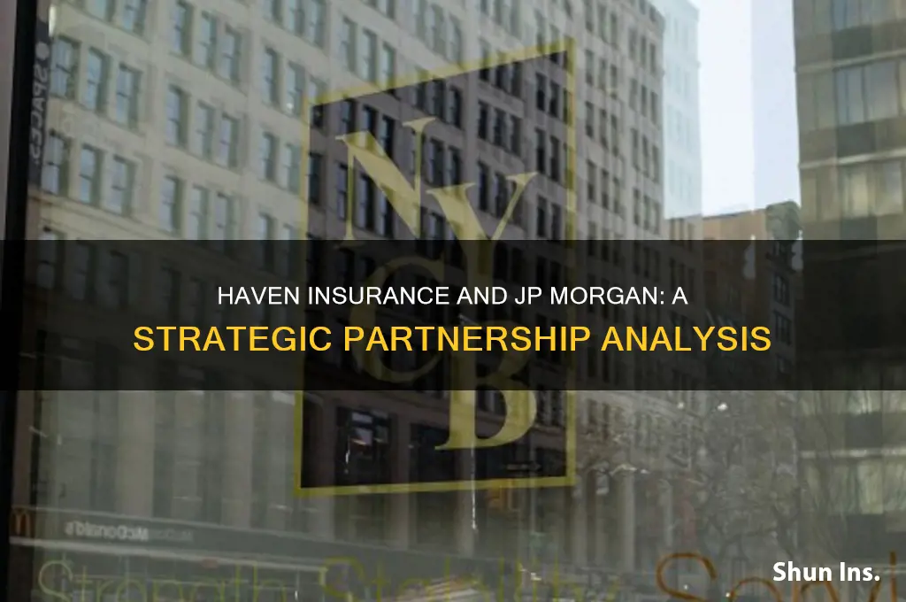 haven insurance jp morgan