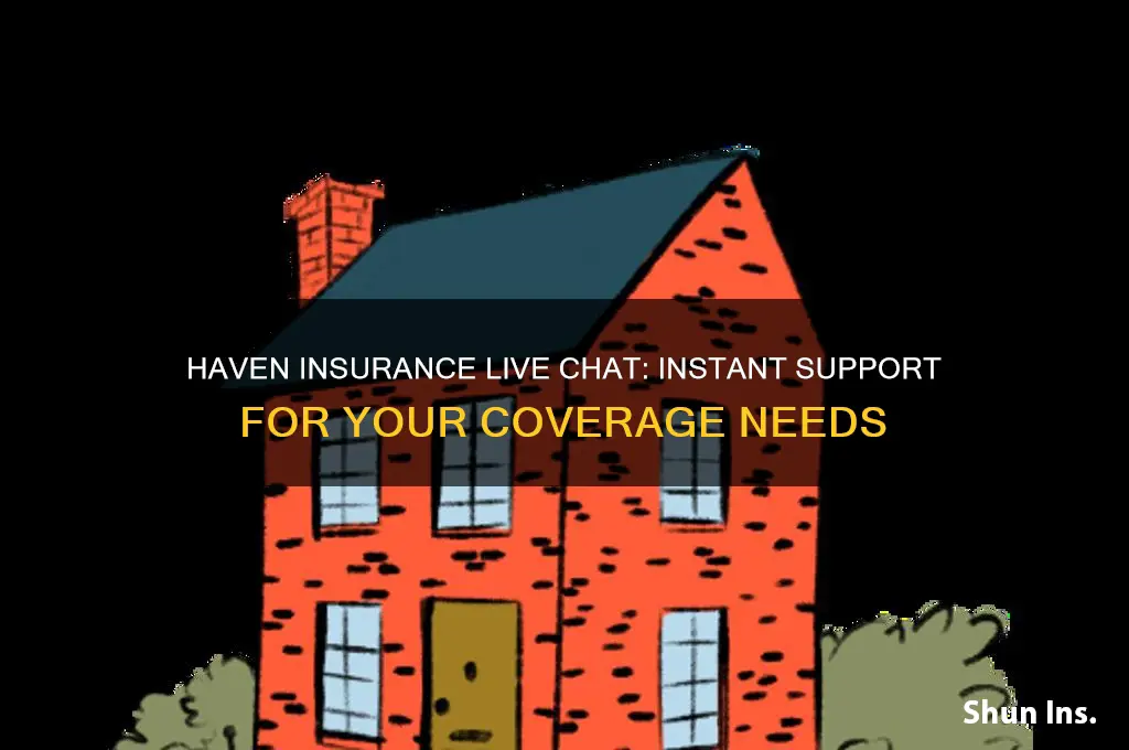 haven insurance live chat