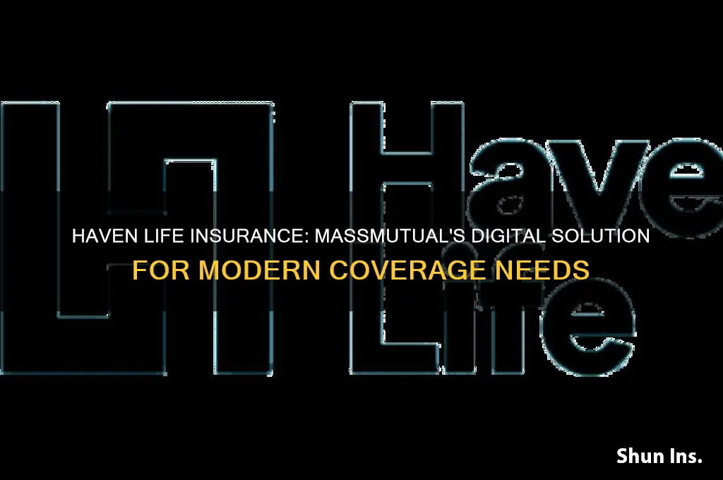 haven insurance massmutual