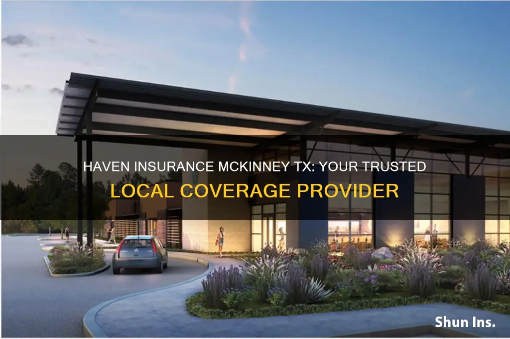 haven insurance mckinney tx