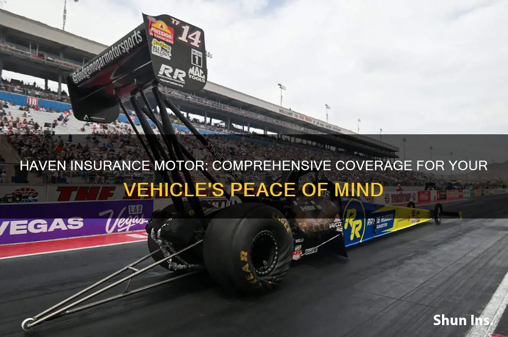 haven insurance motor