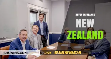 Haven Insurance New Zealand: Comprehensive Coverage and Peace of Mind