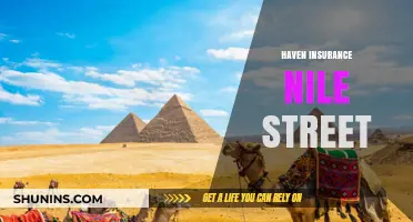 Haven Insurance Nile Street: Your Trusted Local Coverage Provider