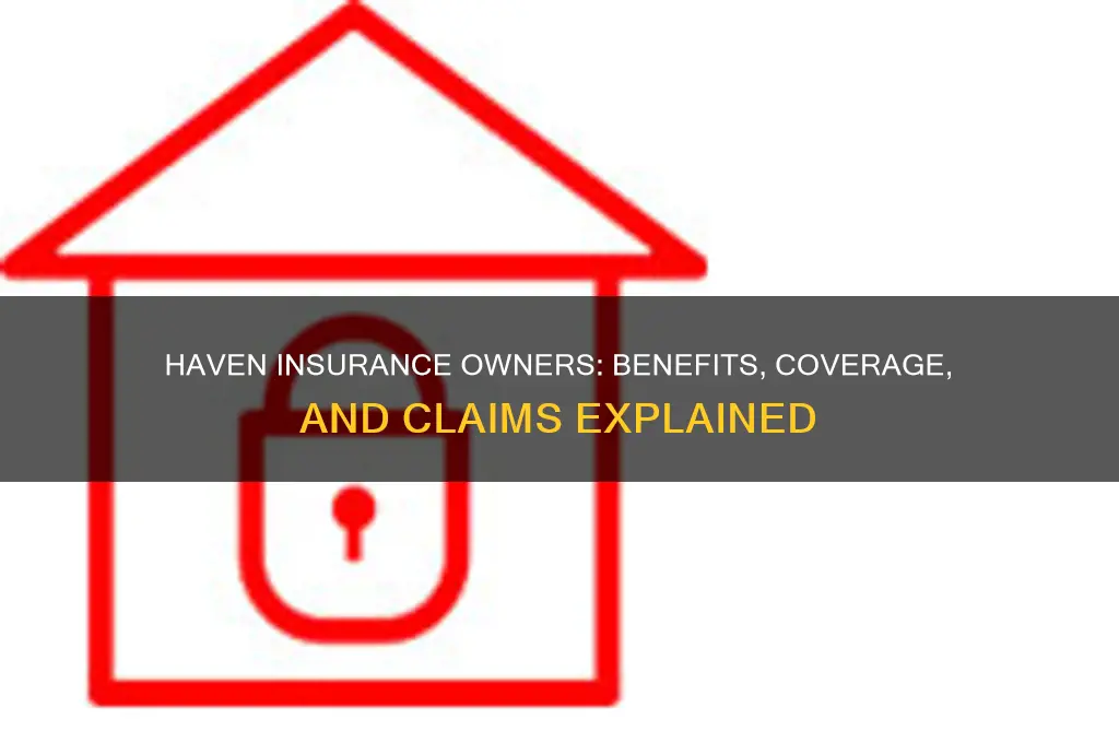 haven insurance owners