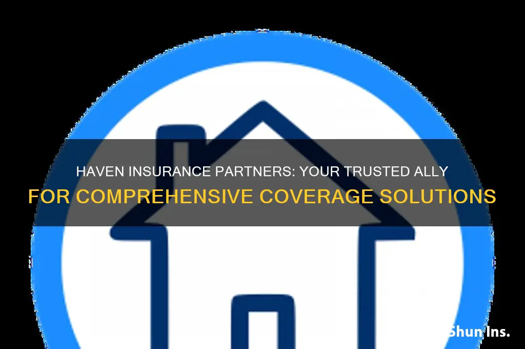 haven insurance partners