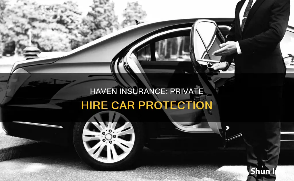 haven insurance private hire