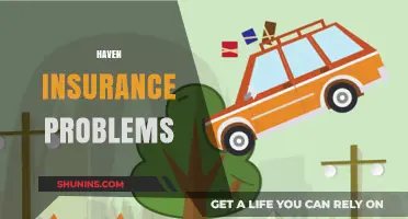 Haven Insurance Problems: Common Issues and How to Resolve Them