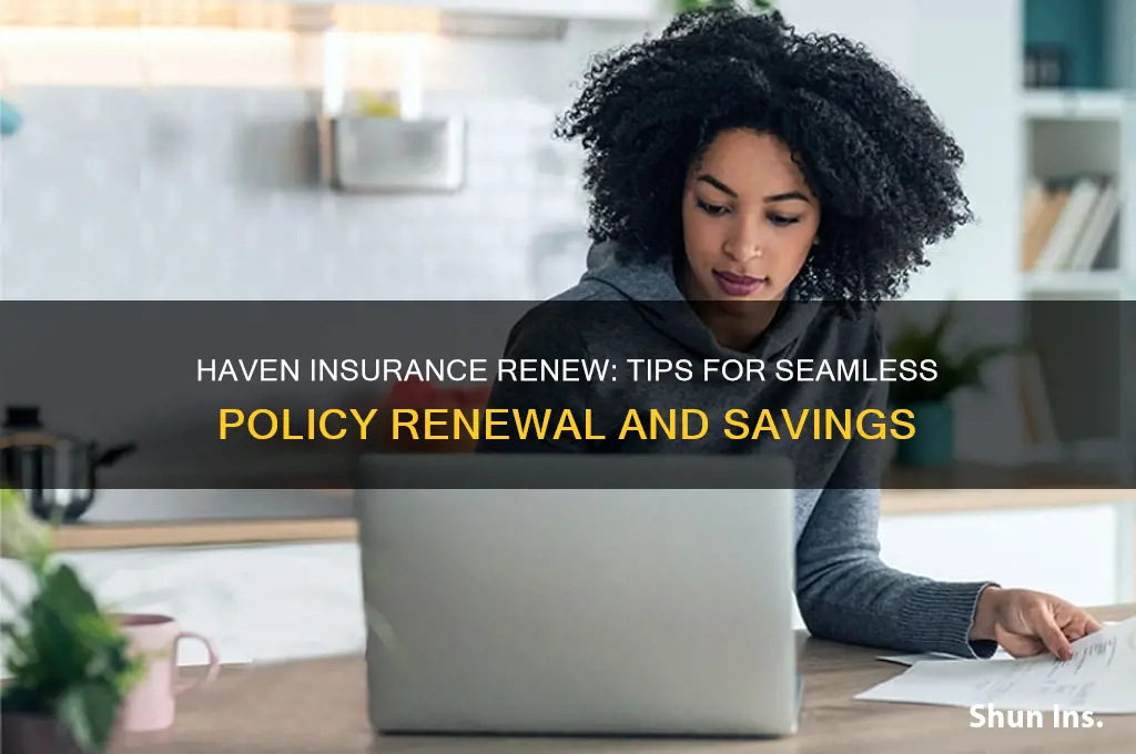 haven insurance renew