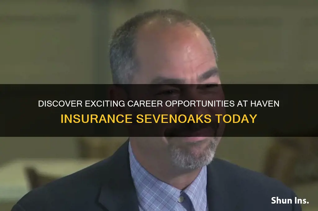 haven insurance sevenoaks jobs