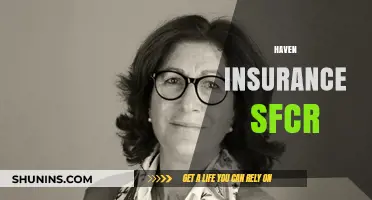 Understanding Haven Insurance's SFCR: Key Insights and Compliance Essentials