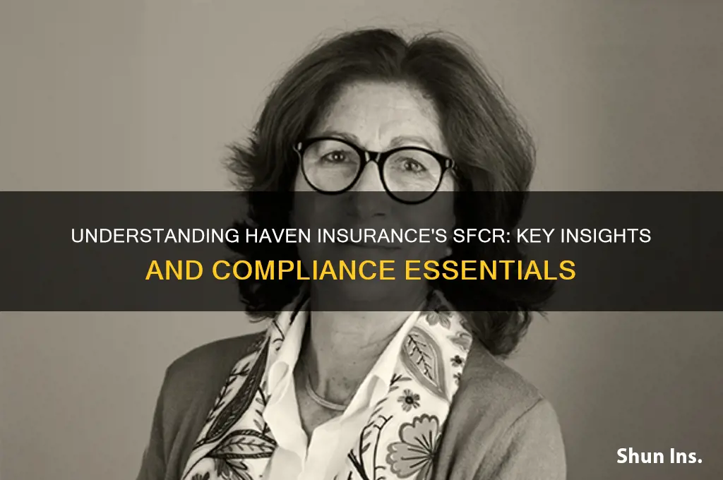 haven insurance sfcr